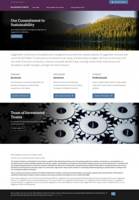 Blue Chip Growth Portfolio Series 25 - Overview Blue Chip Growth Portfolio Series 25 - Overview