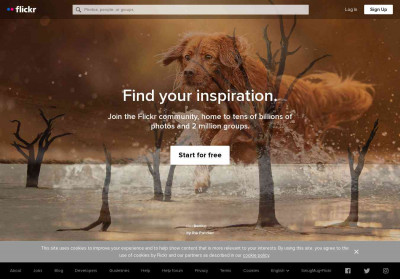 lazygirl photos on Flickr lazygirl photos on Flickr