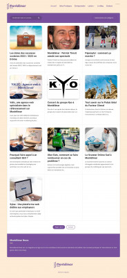 Sylae : Une plateforme web dédiée aux employeurs Sylae : Une plateforme web dédiée aux employeurs